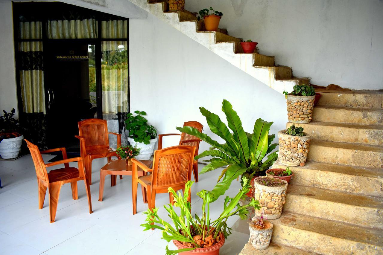Yoho Pedro Resort Nuwara Eliya Exterior foto